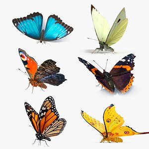 Butterflies Fur Rigged Collection 3