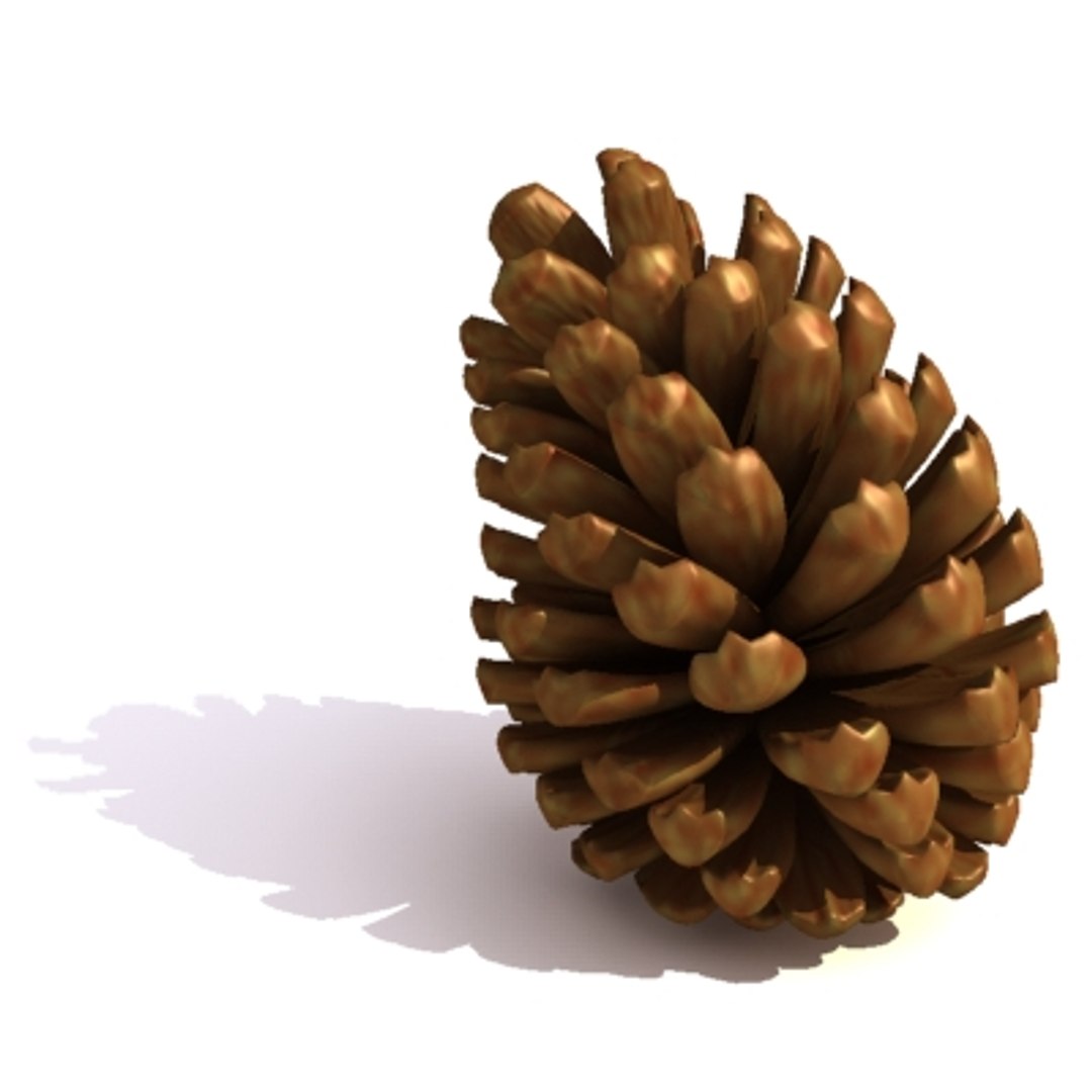 pine cone pinecone 3d model https://p.turbosquid.com/ts-thumb/Kc/uU5d5b/0hMcyonM/pine_11/jpg/1215883434/1920x1080/fit_q87/9697c8eab34c0291e0de794585f9a28e5f628c21/pine_11.jpg