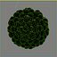 Pinecone