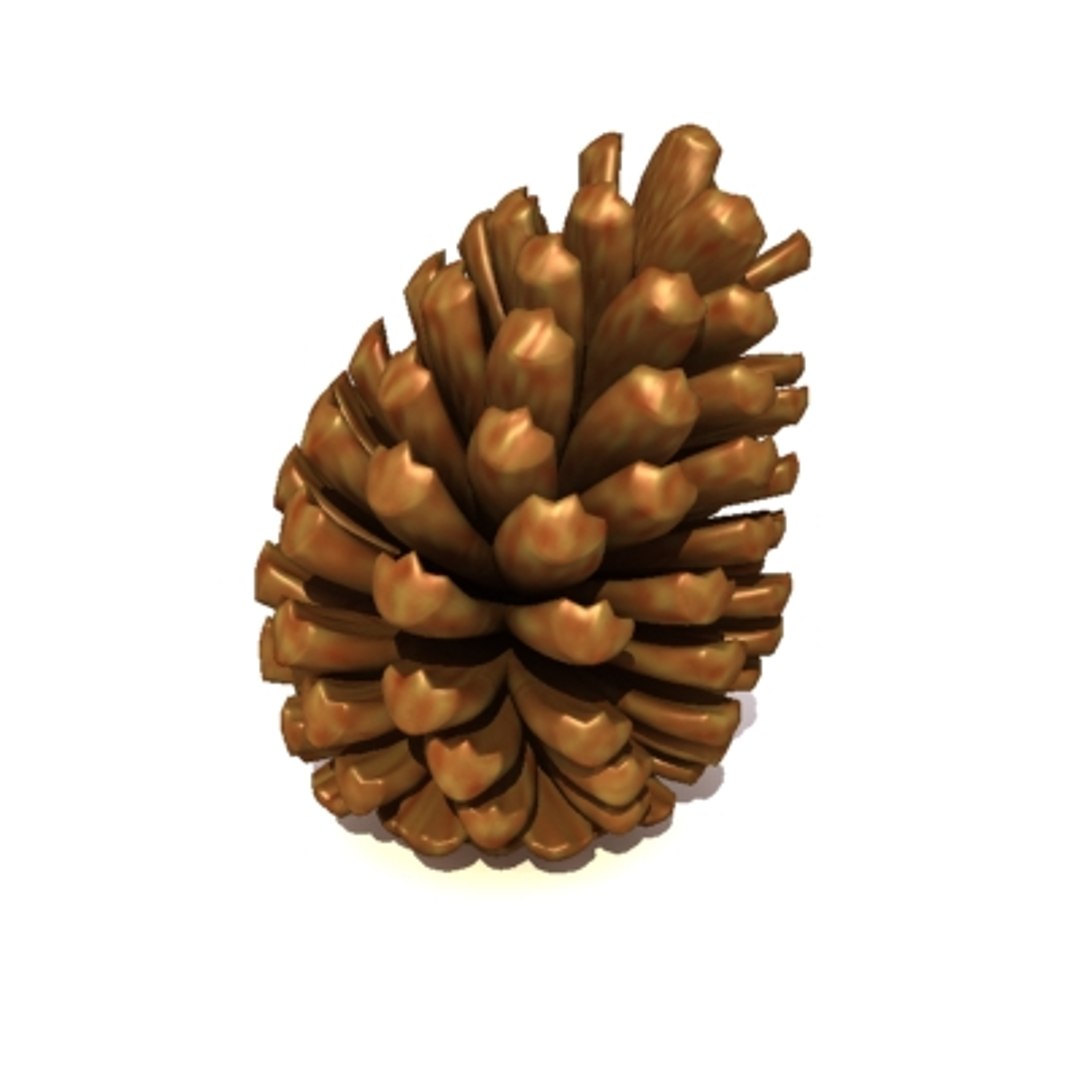 pine cone pinecone 3d model https://p.turbosquid.com/ts-thumb/Kc/uU5d5b/vdKpjHvE/pine_4/jpg/1215882901/1920x1080/fit_q87/0e909822e2a90efd36f4f0d41e6f7923d792bd90/pine_4.jpg