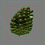 Pinecone