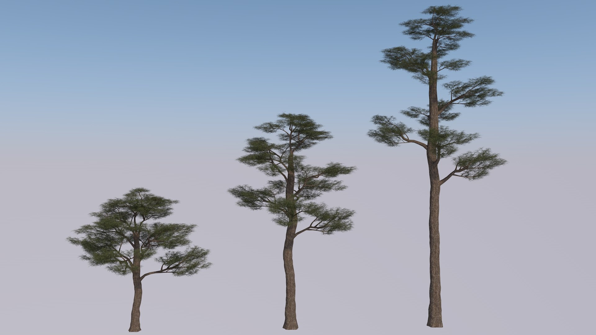 3D High-Quality Tree Collection 3 Variations Per Tree Detailed ...