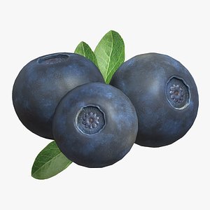 Fruit Bilberry Low Poly 3D model