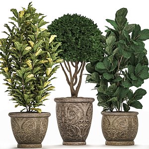 3D ornamental trees classic flowerpots