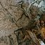 Caverna de Netuno