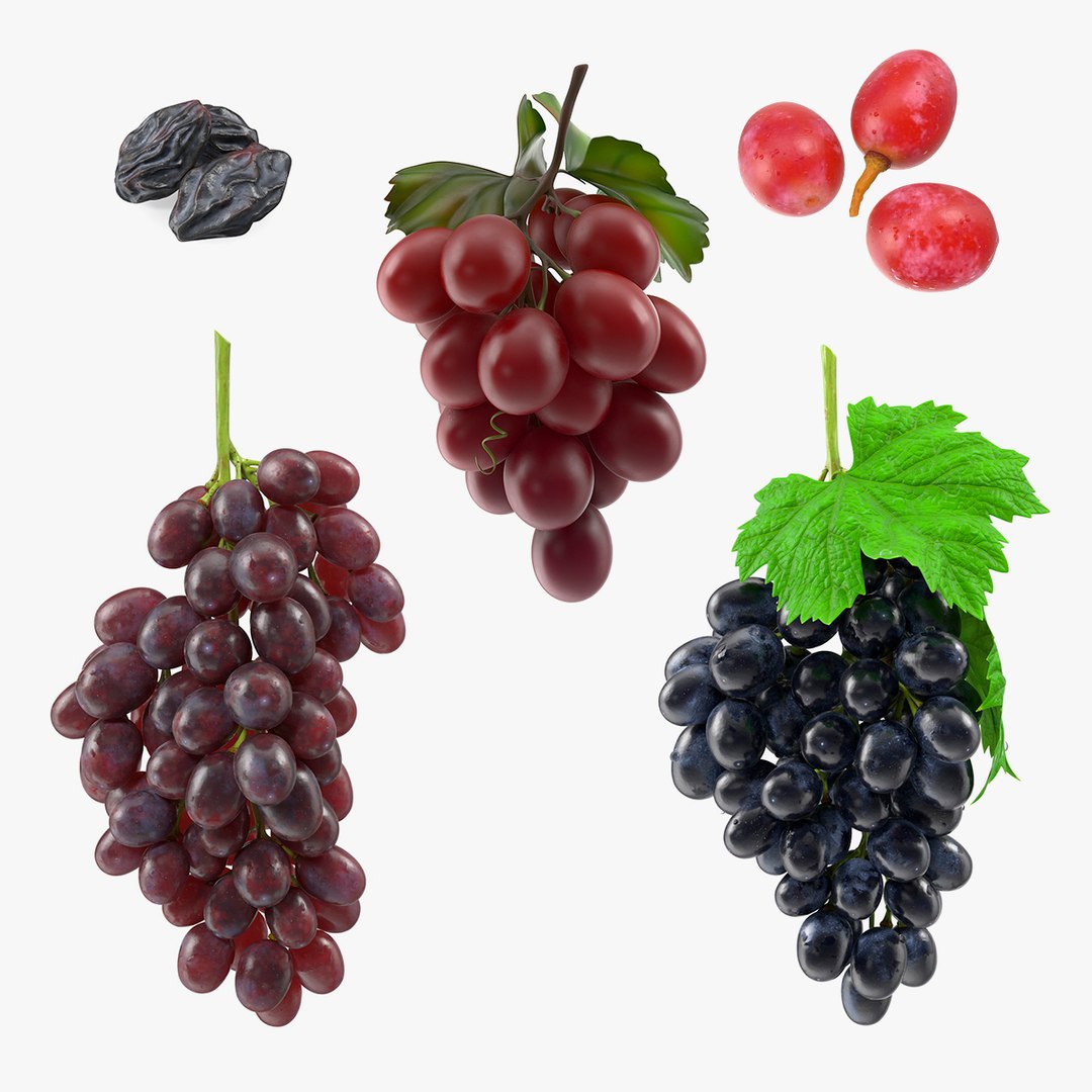 Grapes Collection 5 3D model preview