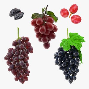 Grapes Collection 5 3D
