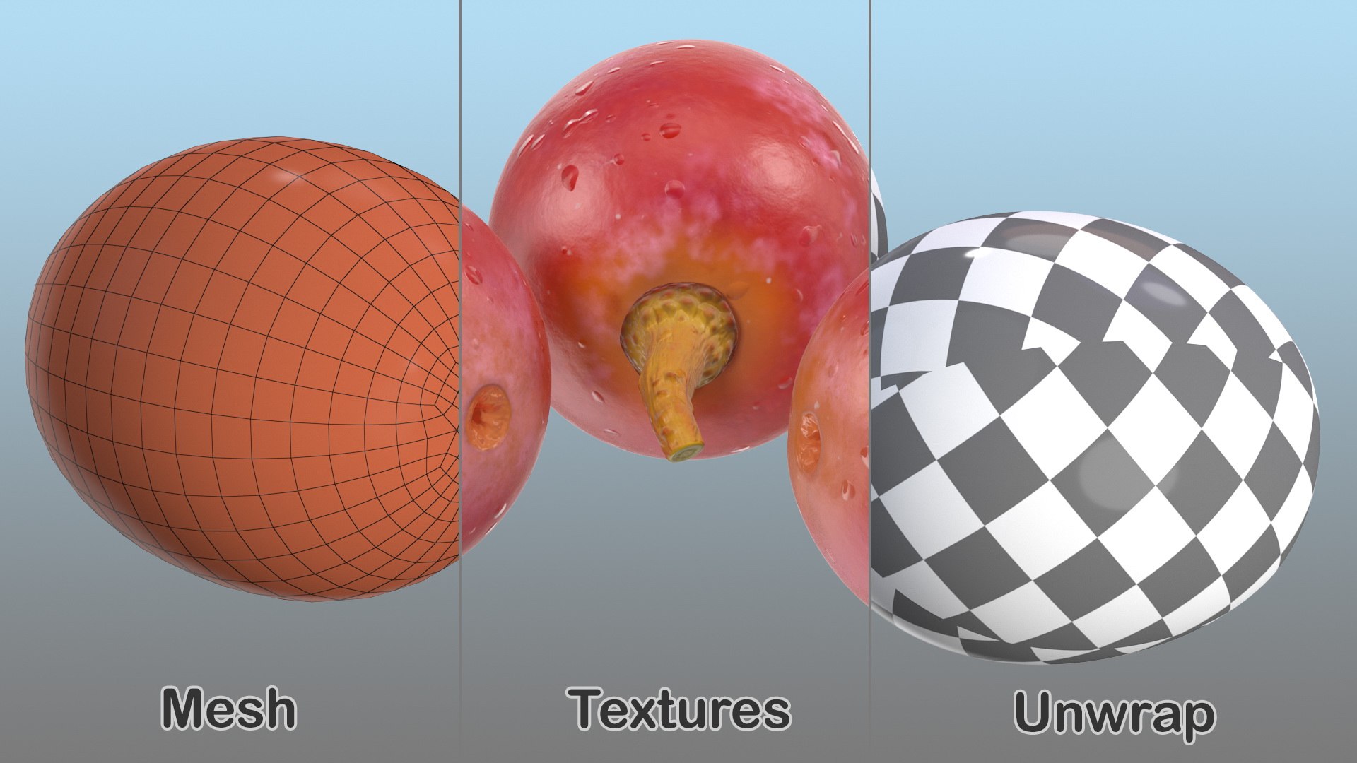 Grapes Collection 5 3D https://p.turbosquid.com/ts-thumb/Kd/BnxEUw/SV/grapes_collection_5_032/jpg/1709122736/1920x1080/fit_q87/6b6da89eb554063564c93ce06652005194416686/grapes_collection_5_032.jpg