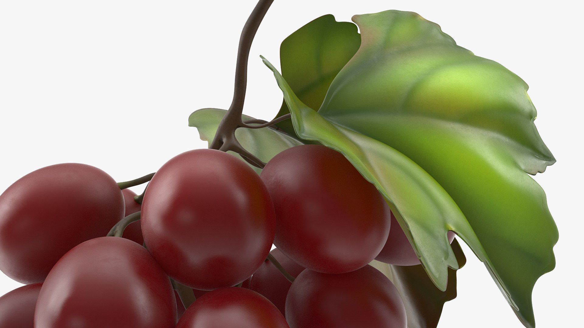 Grapes Collection 5 3D https://p.turbosquid.com/ts-thumb/Kd/BnxEUw/fH/grapes_collection_5_028/jpg/1709122735/1920x1080/fit_q87/454fecf74b1dd51ce8f6b67a5053a5d948a5ccd8/grapes_collection_5_028.jpg