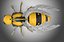 Robotic Bee
