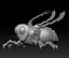 Robotic Bee