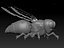 Robotic Bee