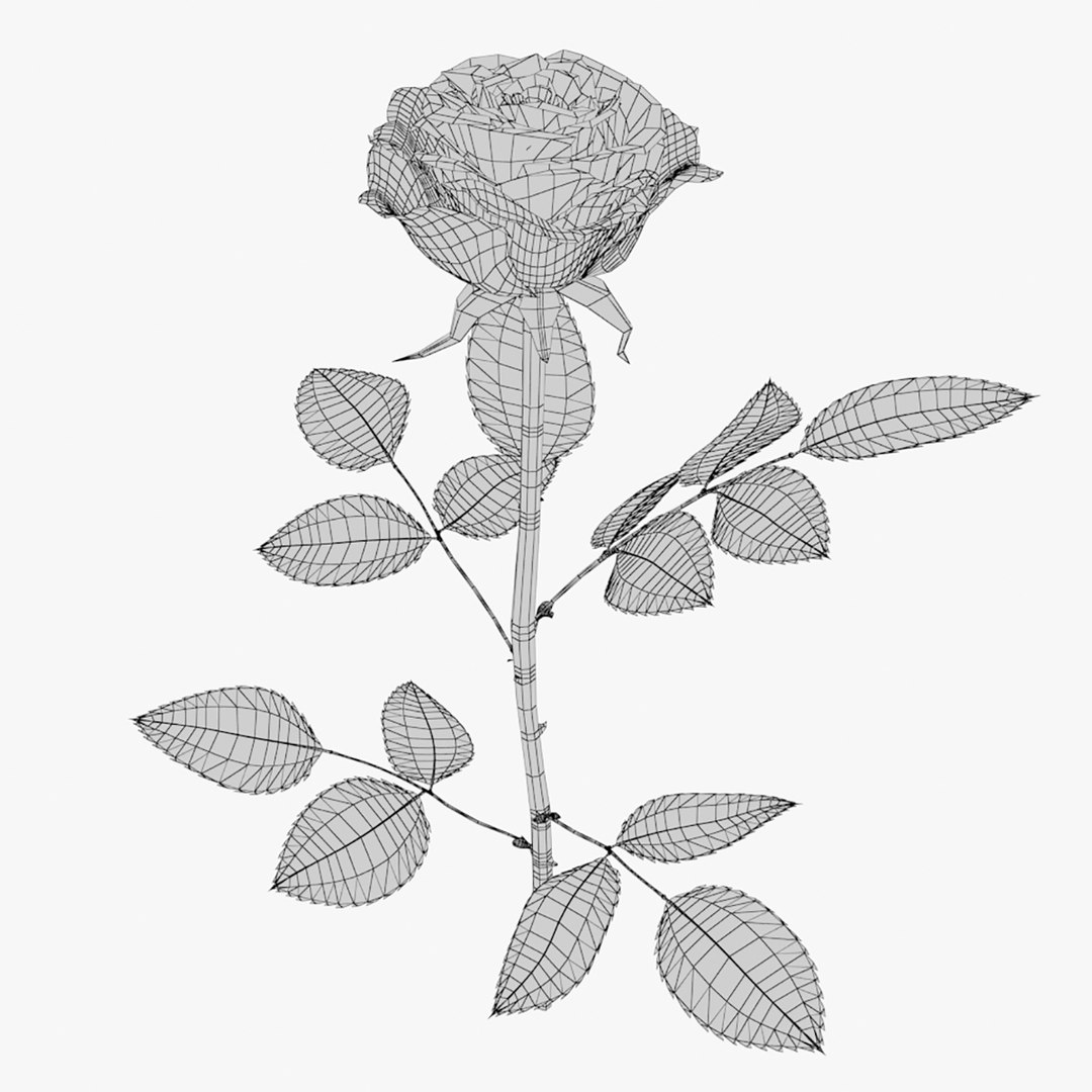 3D Rose Model - TurboSquid 1155101