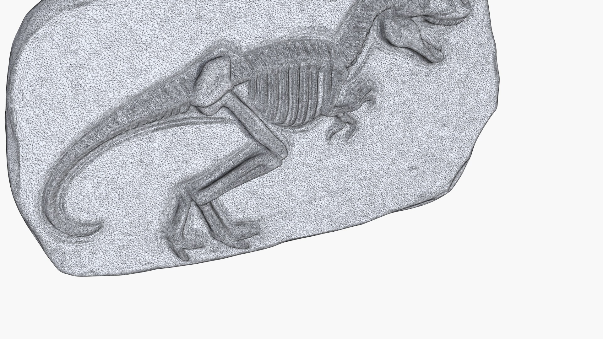 Dinosaur Fossil 005 Model - TurboSquid 2298328