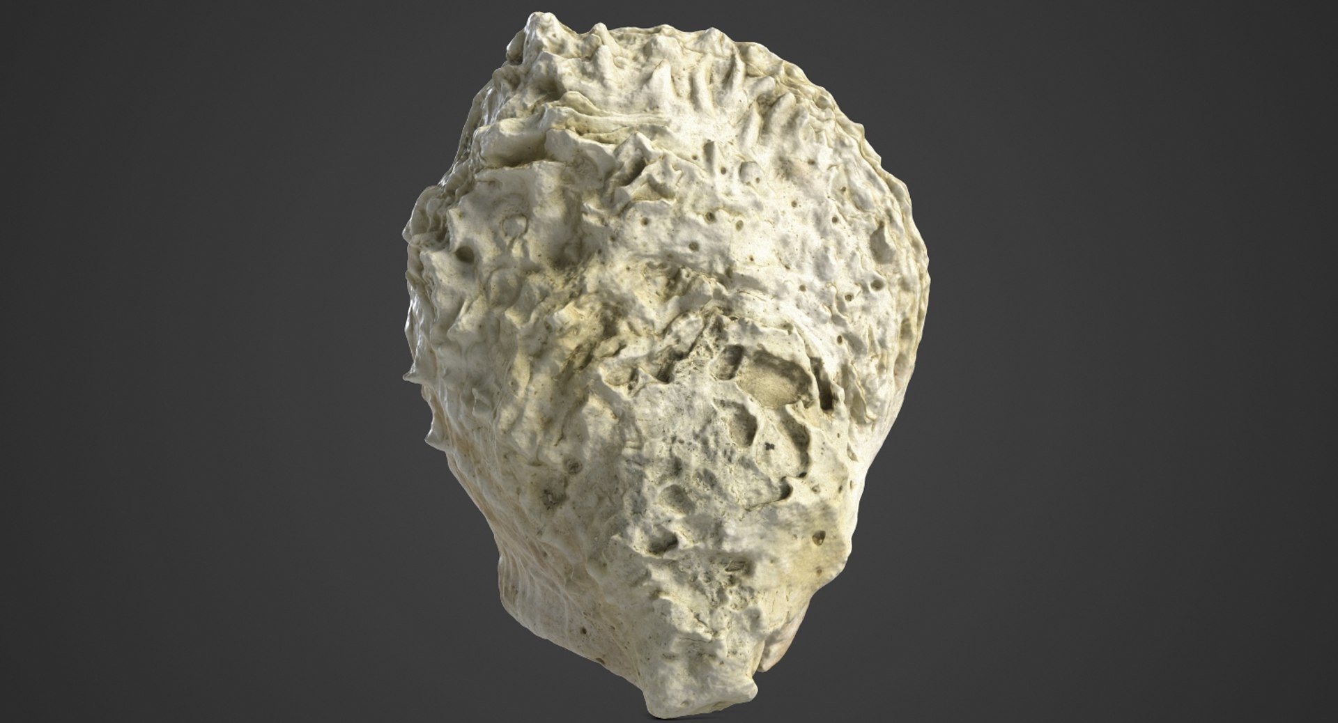 3d Sea Shell