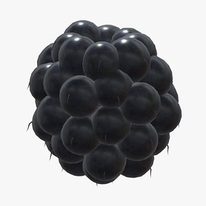 3D Blackberry Fruit Low Poly model