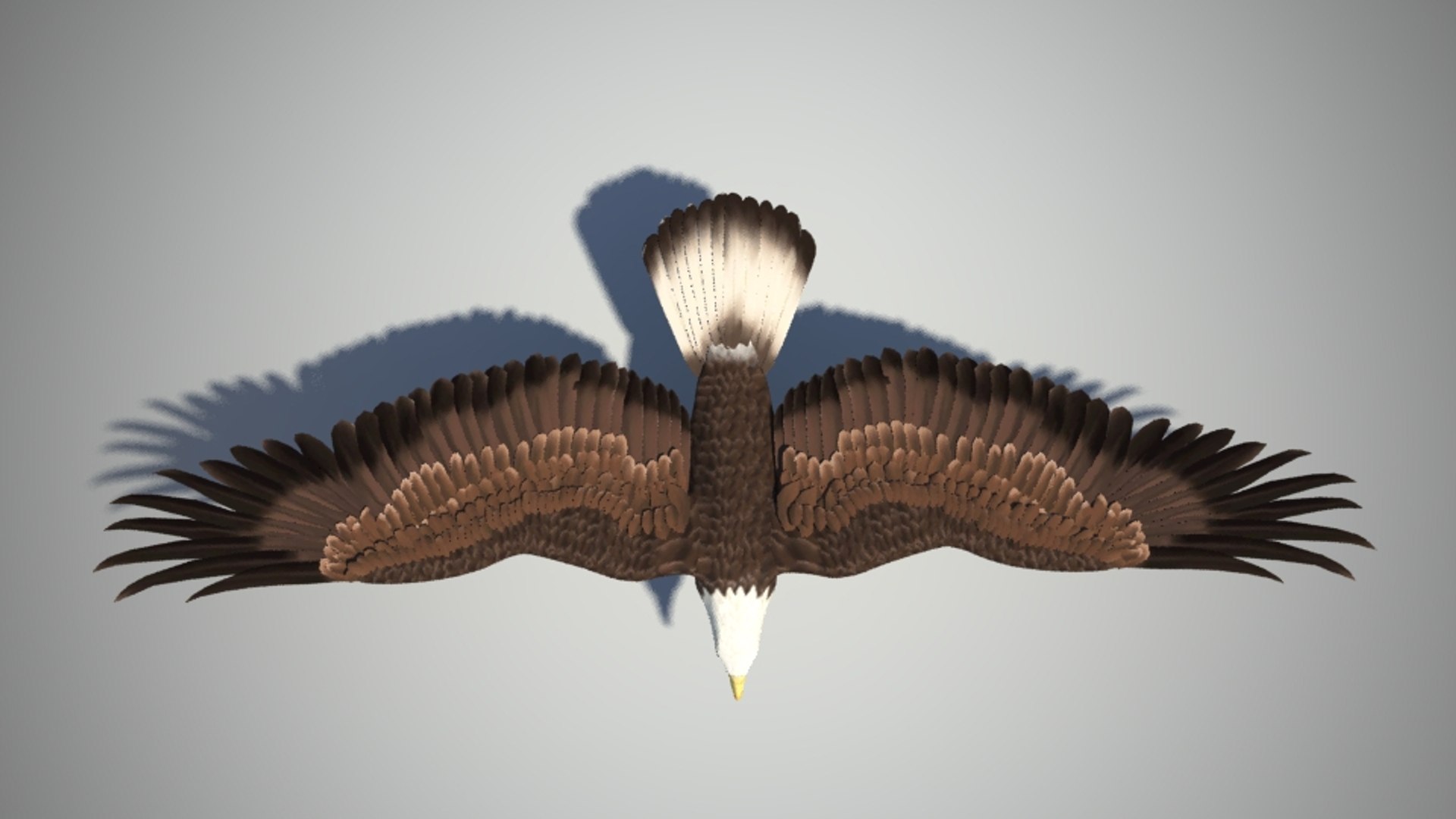 3d model eagle bird https://p.turbosquid.com/ts-thumb/Ke/BJ17O7/2EC6ja0u/2/jpg/1462552238/1920x1080/fit_q87/5873cc6986143ab89595e400b43531cdd673d7a7/2.jpg