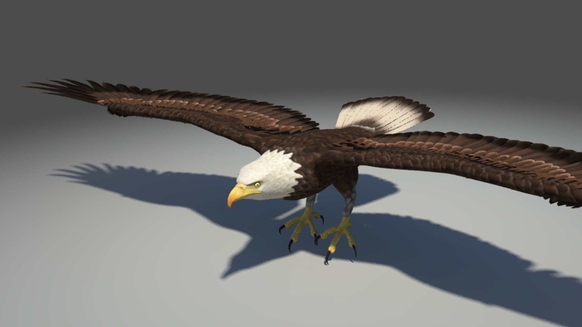 3d model eagle bird https://p.turbosquid.com/ts-thumb/Ke/BJ17O7/EgpIcRl1/1/jpg/1462552238/1920x1080/fit_q87/08b3231841b94bfca5b609a3a4b660ed7669d589/1.jpg