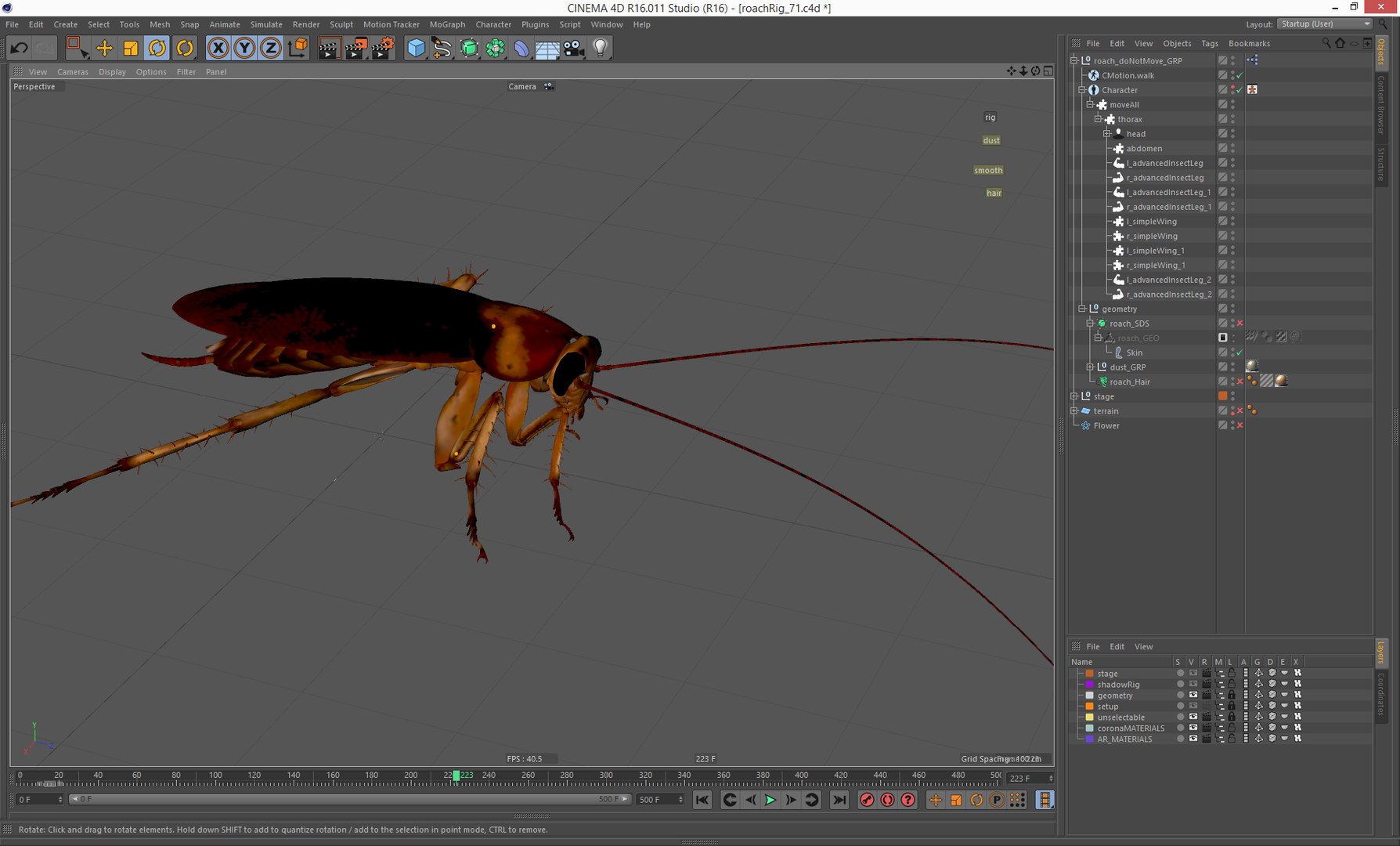 american cockroach rigged animation 3d c4d
