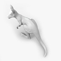 Kangaroo