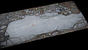 3D model asphalt patch cracked tree roots part part5 Photogrammetry
