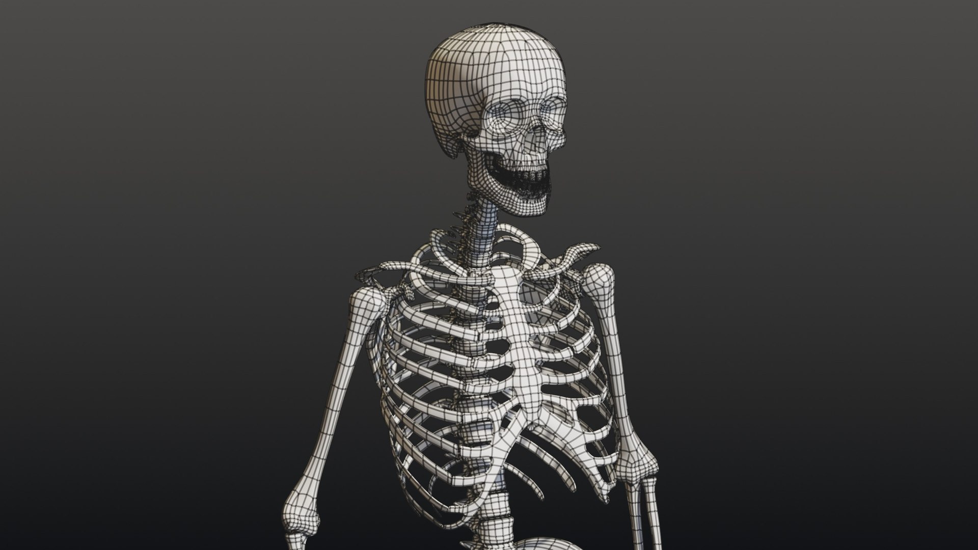3d skeleton model https://p.turbosquid.com/ts-thumb/Ke/YMySBt/Wn/13_skeletonstatic_13_wire_clay/jpg/1791486914/1920x1080/fit_q87/7f6bd801382e40daf98ecd3a89a288cc5560d790/13_skeletonstatic_13_wire_clay.jpg