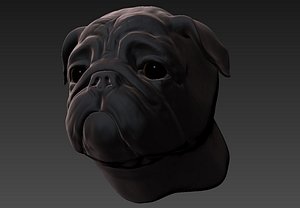 3d bust pug model