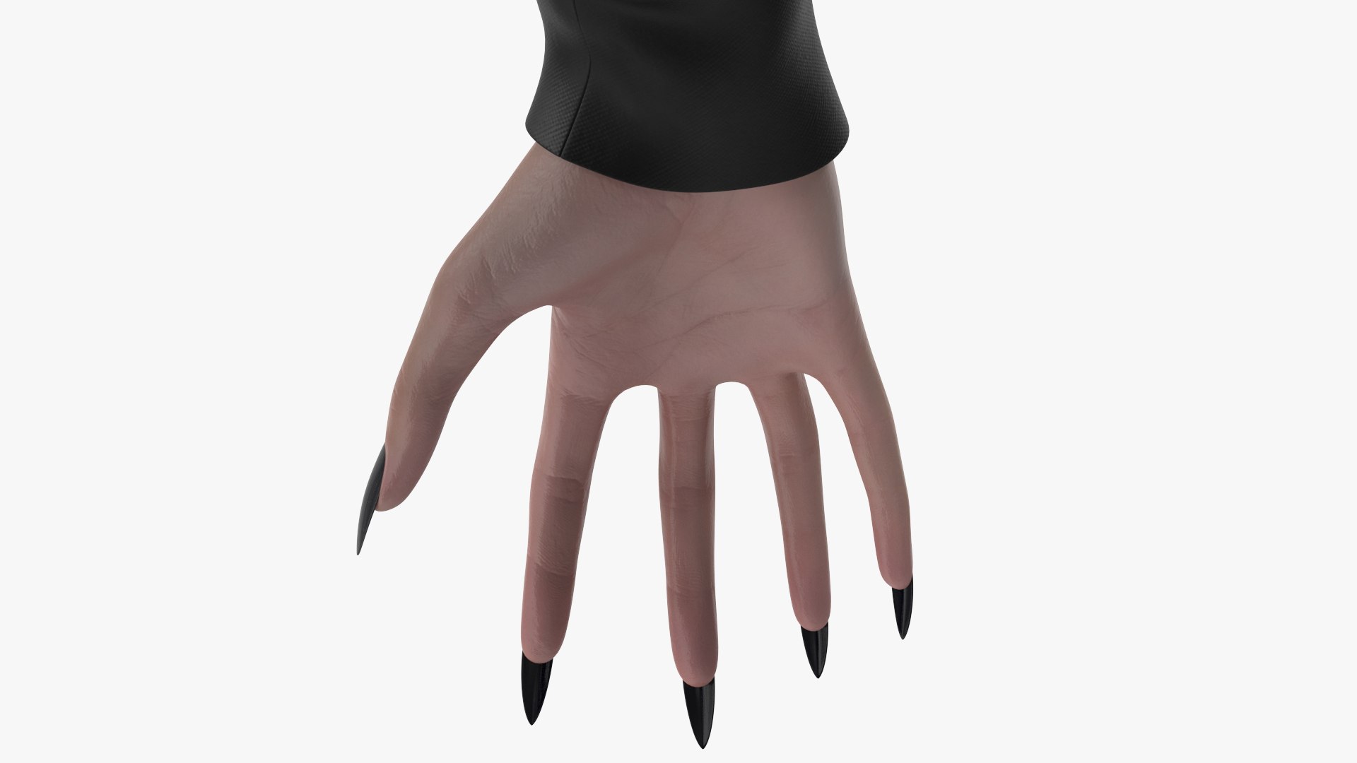 3D Witch 6 model https://p.turbosquid.com/ts-thumb/Ke/futC3k/R1/angles_42/jpg/1697611274/1920x1080/fit_q87/d6a6a9c804c551b6648332a85faeb324a48da9cf/angles_42.jpg