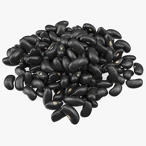 pile black turtle beans model