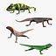 3D Reptiles model