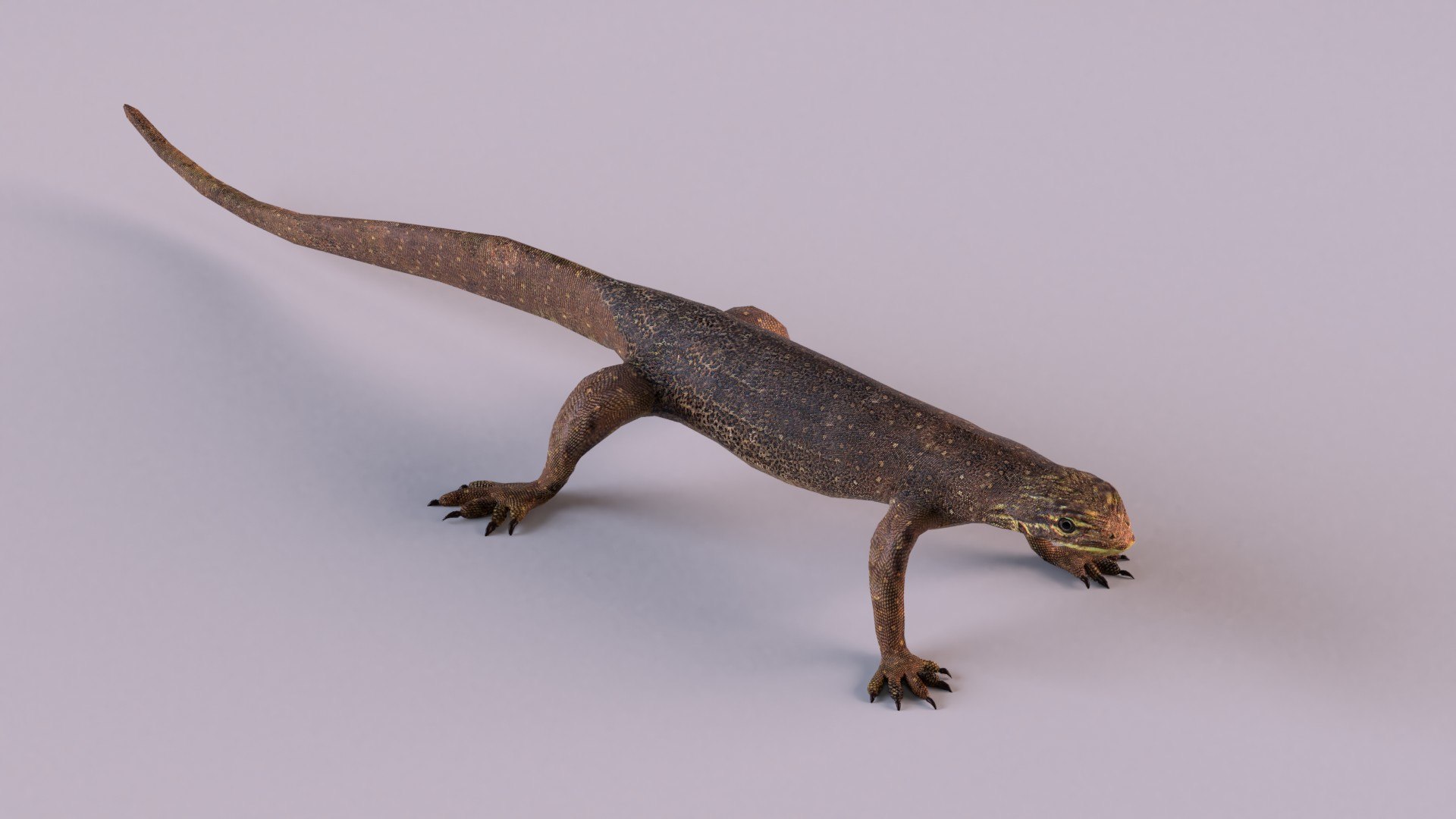3D Reptiles Model - TurboSquid 1882509