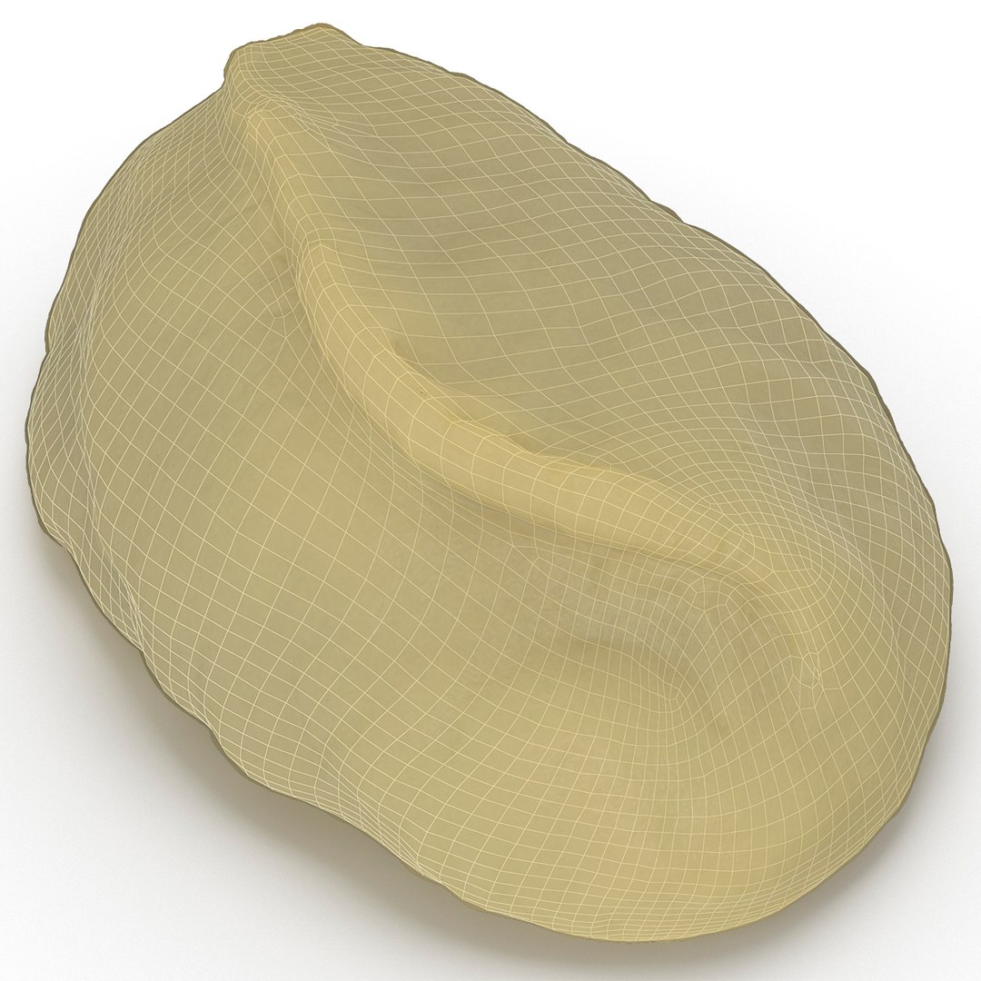 potato puree 3d model https://p.turbosquid.com/ts-thumb/Ke/vKN7tJ/pGHo51Km/potatopuree_9/jpg/1413561032/1920x1080/fit_q87/e06ce512e2be0223d22f40251d0405136bba7e1c/potatopuree_9.jpg