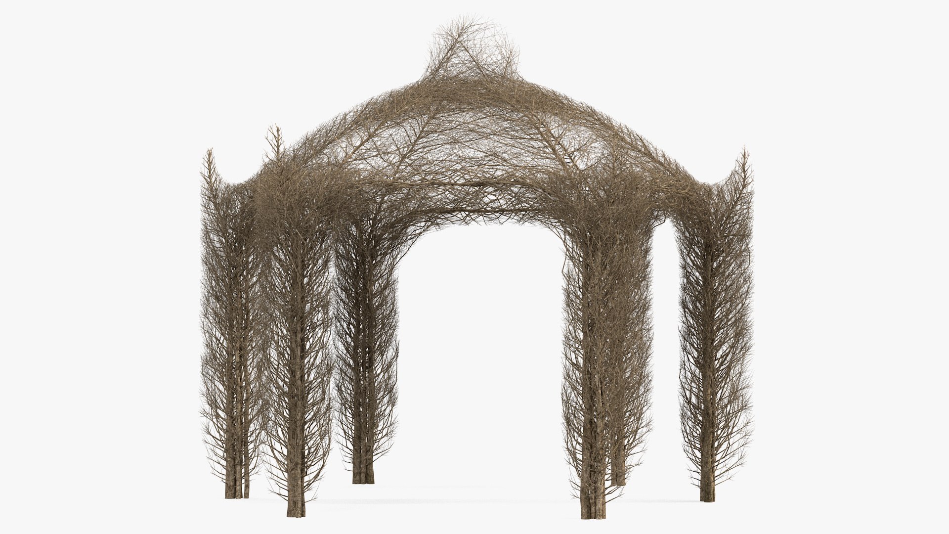 Branch Gazebo 3D model preview