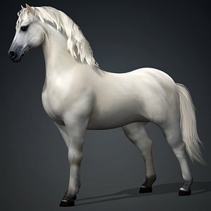Horse-C3 model