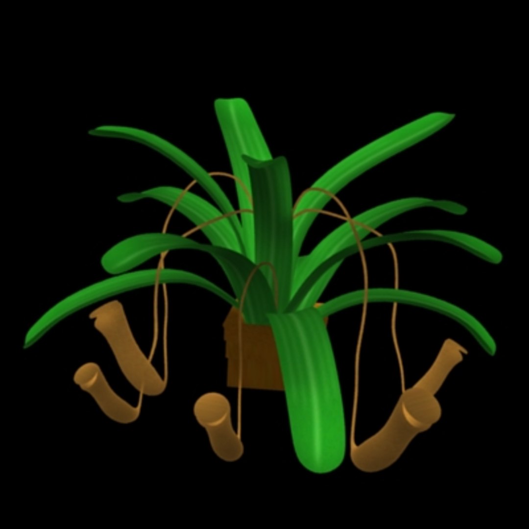 carnivorous plant 3d model https://p.turbosquid.com/ts-thumb/Kf/BXUWPG/BGGiI8jf/carivorousplant/jpg/1236102283/1920x1080/fit_q87/ee5480ea4420d23f7f3de4e1eb0b5c59544d6481/carivorousplant.jpg