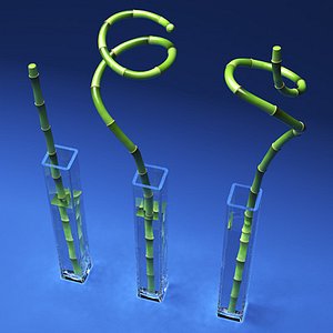 decorative bamboo sticks 3d model