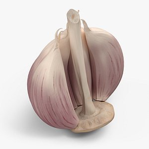 Half Head of Garlic White 3D