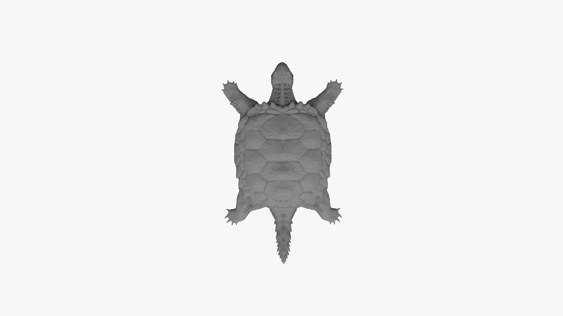 Proganochelys 3D - TurboSquid 1844368