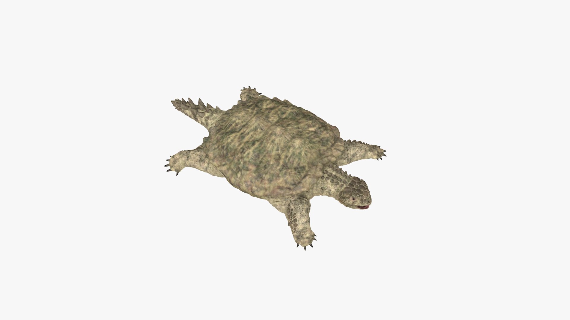 Proganochelys 3D - TurboSquid 1844368