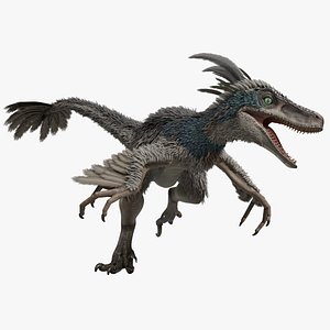 3D model Velociraptor
