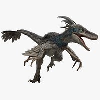 Velociraptor