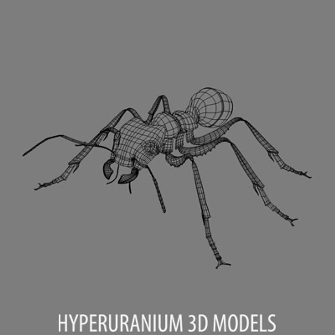 Ant 3D Model - TurboSquid 272542
