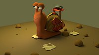 turbo snail