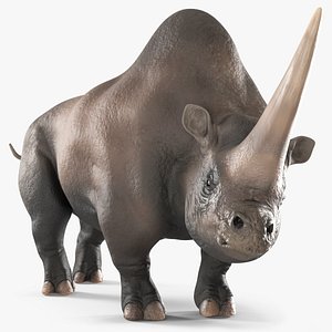 Extinct Giant Rhinoceros Walking Pose