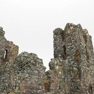 Ruins castle