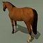 LowPoly Horse A (Buckskin)