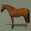LowPoly Horse A (Buckskin)
