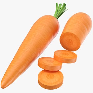 3D model Carrot Set