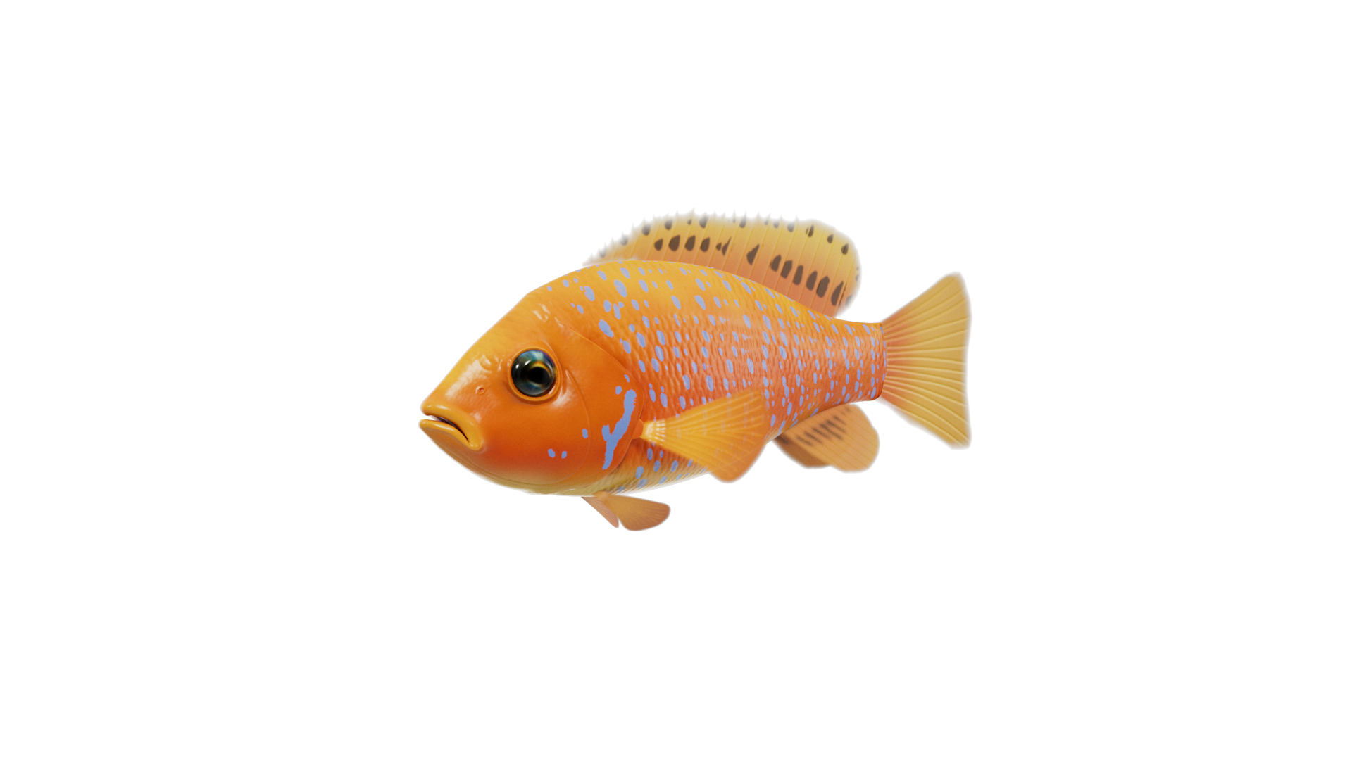 Orange Pricklyhead Fish Rigged 3D Model - TurboSquid 2379487