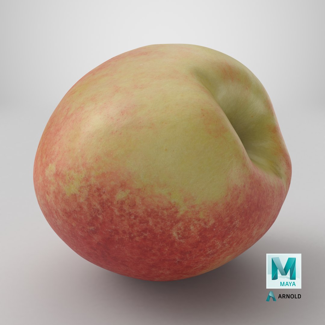3D Peach 03 https://p.turbosquid.com/ts-thumb/Kg/Nclu1t/na/stemcell_maya_arnold_render/png/1727102642/1920x1080/fit_q87/5c6de0b9521076942d7b9b73e474e58e771859d0/stemcell_maya_arnold_render.jpg